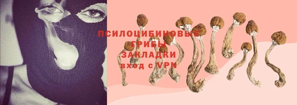 PSILOCYBIN Вязники