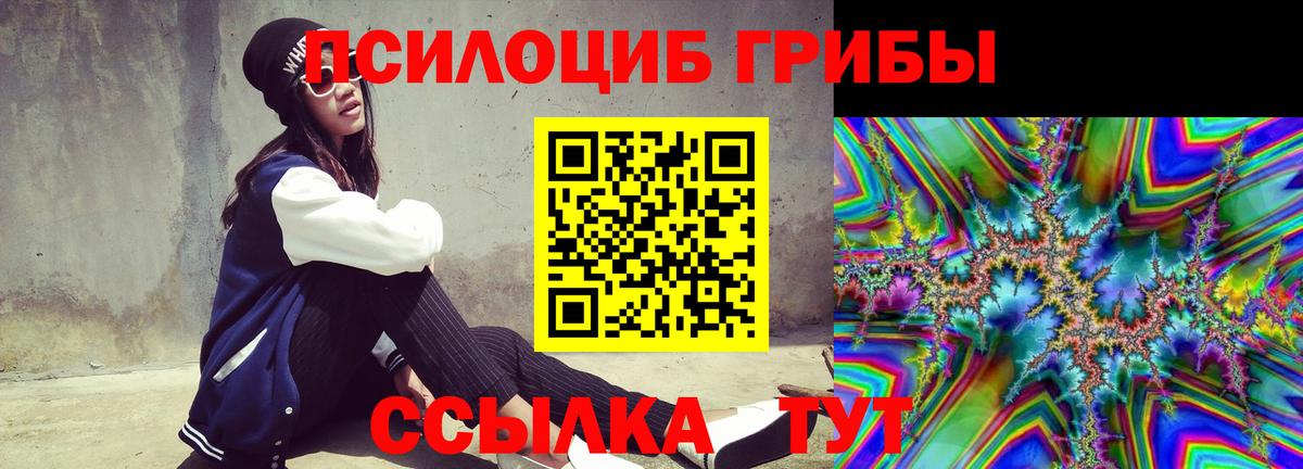 Галлюциногенные грибы Psilocybe  Галлюциногенные грибы Psilocybe  Вход с VPN  Чусовой 